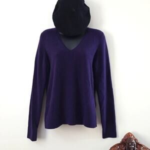 Ann Taylor Cashmere V-neck Sweater Career Quiet Luxury Academia New Large Plum